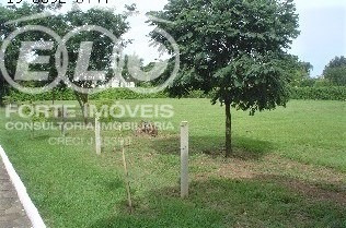 Imagem 5 de 6 de Terreno - Te01082 - 2992041