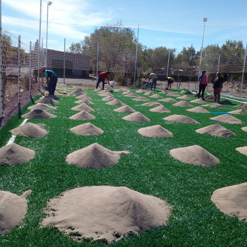 Cepillo Para Césped Sintético. Cancha De Fútbol Trekan