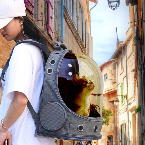 Mochila Bolso Transporte Gato Perro Mascotas