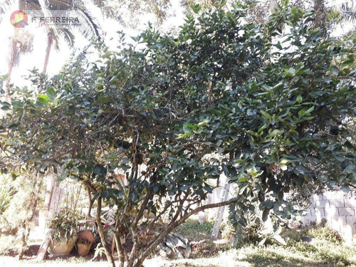 Chácara Residencial Para Venda E Locação, Recreio Primavera, Itapecerica Da Serra. - Ch0053