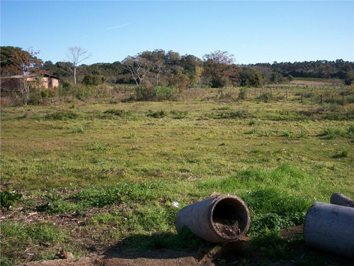 Imagem 12 de 30 de Sítio Rural À Venda, Lami, Porto Alegre. - Si0006