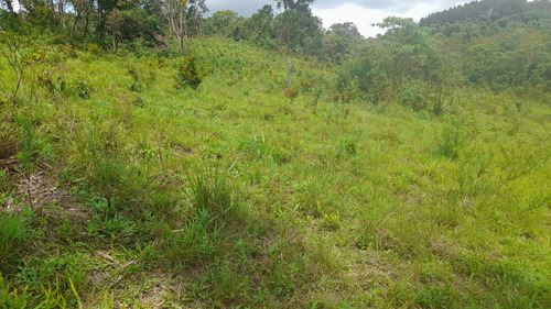 Vende-se Terreno De 26.000 M Com Nascente Dentro Da Propried