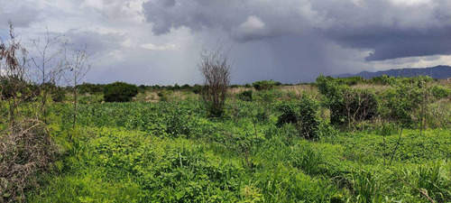 Imagen 2 de 6 de Terreno En Venta Paraparal Los Guayos Marco Sevilla C448704