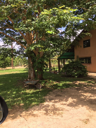 Midaly Vende Hermosa Finca, 240has, Entrada Al Tejero, A 250mts De La Virgen, Maturin, Monagas