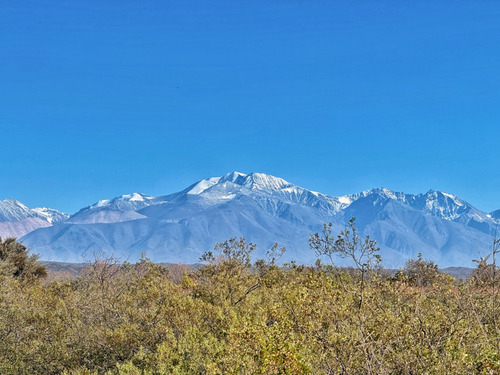 Campo En Venta, Ruta 86, Luján De Cuyo, Mendoza