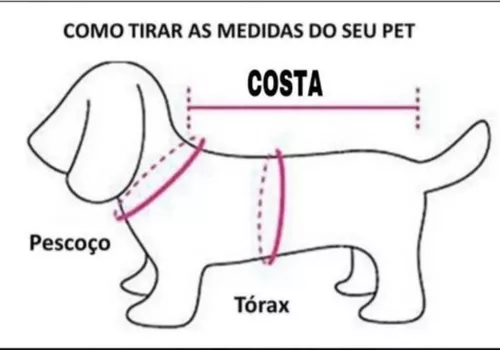 Personagem chihuahua