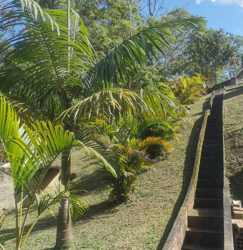 Chacara Em São Lourenço Da Serra Bairro Fazenda Vitória