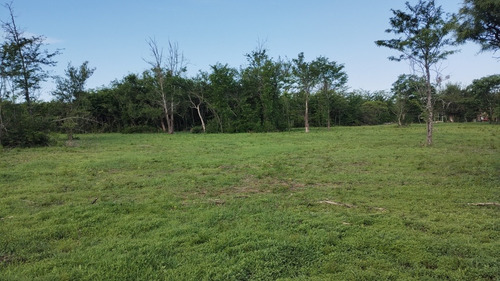 Anisacate - A La Venta - Exclusivo Lote De 2.000 M2 - Con Escritura - Sierras De Córdoba