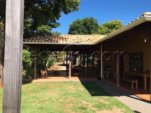 Imagem 8 de 28 de Chácara 4.250m2 | Melhor Localização De Senador Canedo Casa Com 2 Suítes, 1 Sala, Cozinha E Lavanderia. Pé Direito Alto, Toda Avarandada - Ch00005 - 69712223