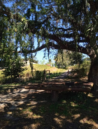 Imagen 14 de 16 de Vendo Finca Araguaney Yaracuy Dt