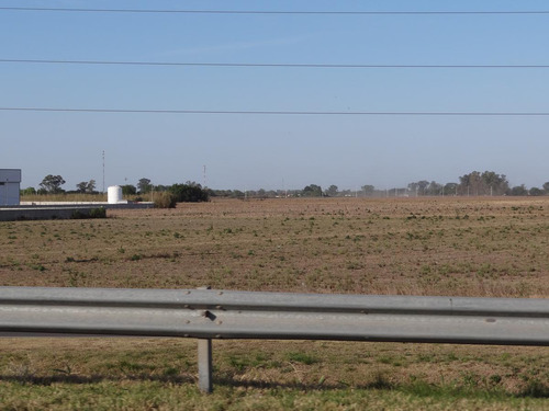 Imagen 7 de 9 de Campo - Alvear