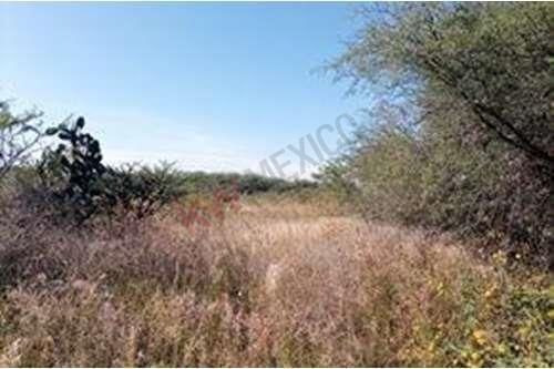 Imagen 16 de 30 de Terreno Con Vistas A La Presa En Venta, San Miguel De Allend