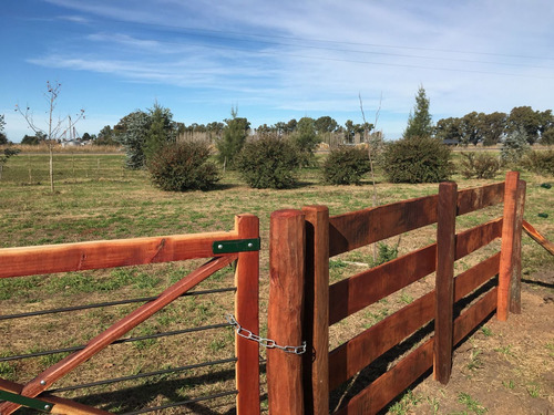 Imagen 2 de 12 de Chacra 1 Ha. - Las Juntas - San Antonio De Areco