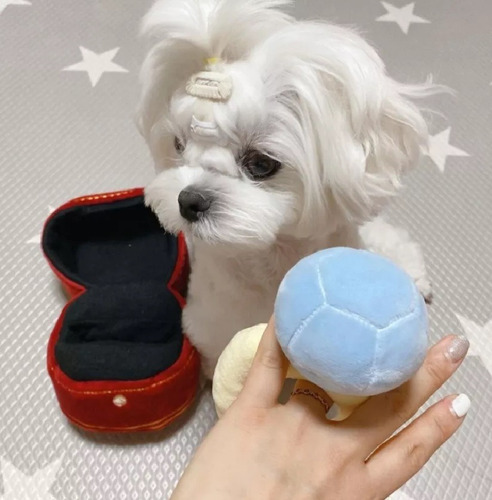 Nvzi Caja De Anillo Creativa Con Forma De Peluche