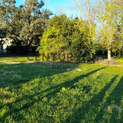 Imagen 5 de 5 de 21 Y 659.lote En Parque Sicardi