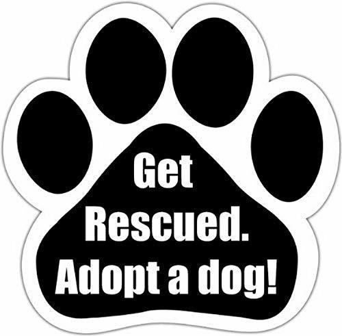  Ser Rescatados, Adopte Un Perro!  Con Coche Imán Único De L