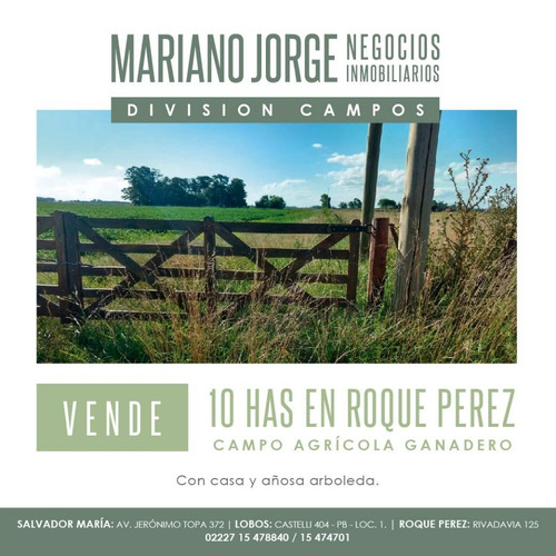 Imagen 1 de 5 de Campo 10 Has Agricola - Roque Pérez