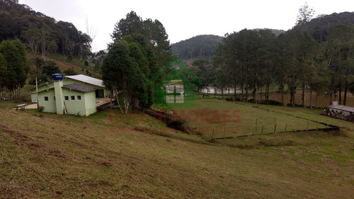 Imagem 1 de 20 de Sítio À Venda Em Juquitiba Sp Medindo 48000m² Ref 1002