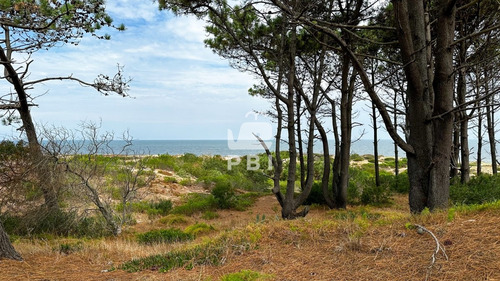 Lote En Sauce De Portezuelo, Maldonado - Ref : Pbi12482