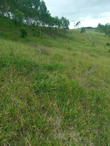 Imagem 9 de 14 de A22- Últimos Lotes Em Jacareí
