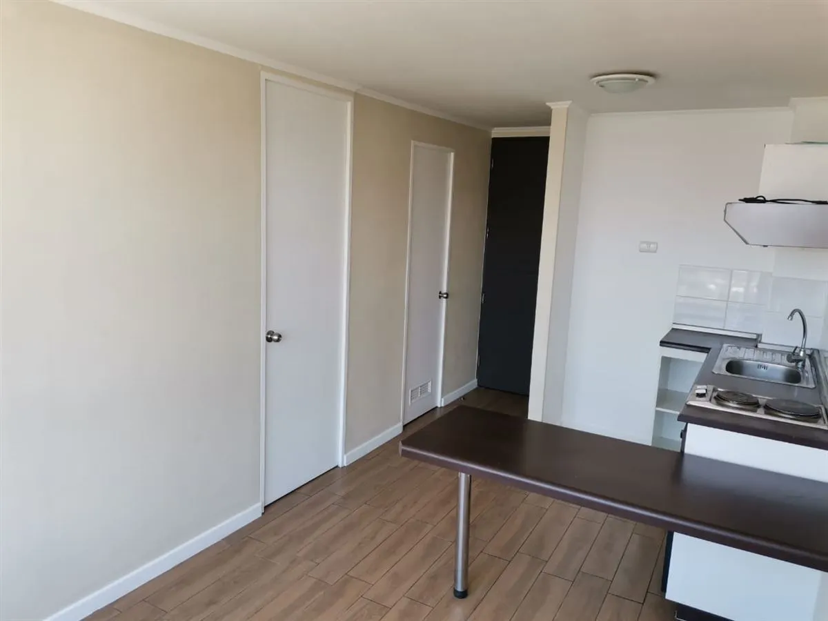Imagen 4 de 9 de Departamento De 1 Dorm En Arriendo En Independencia