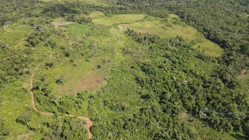 Chacra En Santo Pipo,  44 Ha Forestación, Yerba Y Monte