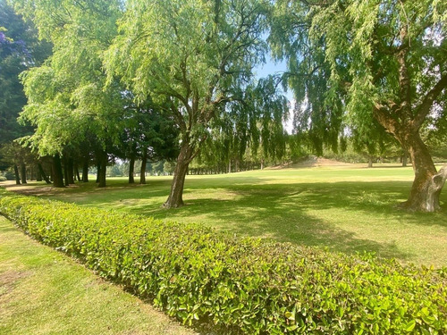 Imagen 6 de 30 de Club De Golf Los Encinos Casa En Venta 3 Recamaras Con Alber