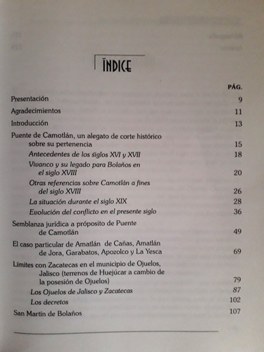 La Zona Norte De Jalisco Y Sus Límites Territoriales (Usado)