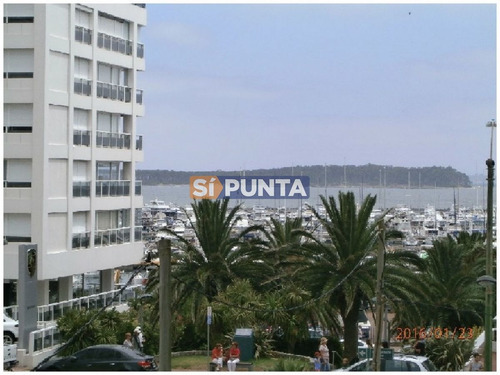 Imagen 15 de 22 de Apartamento En Peninsula, 2 Dormitorios *