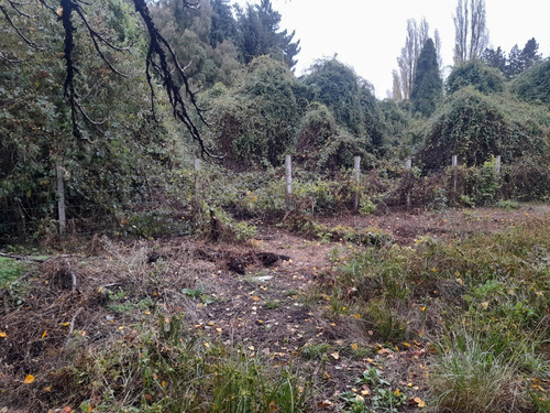 Preparate Para Una Nueva Inversion En Osorno