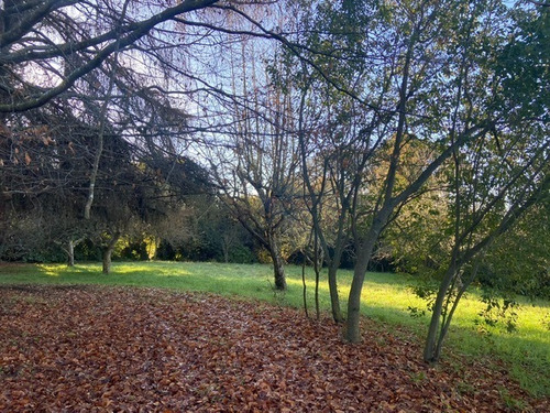 Venta De Parcela Agricola, Osorno