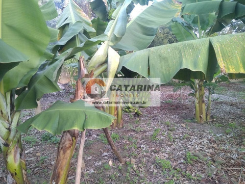 Imagem 7 de 10 de Lindo Terreno Com Topografia Plana!