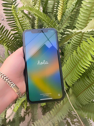 Celular iPhone 11 (Usado)