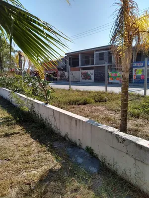 Terreno en renta