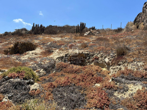 Terreno En Las Tacas Para Desarrollo 6.000m2