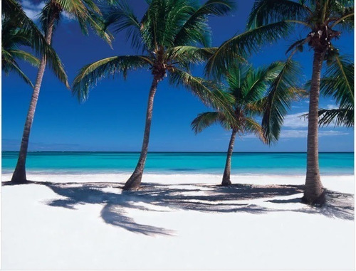 Imagen 2 de 15 de Villa En Cap Cana