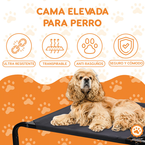 Cama Elevada Para Perro Cuna Portátil Para Mascotas Mediana