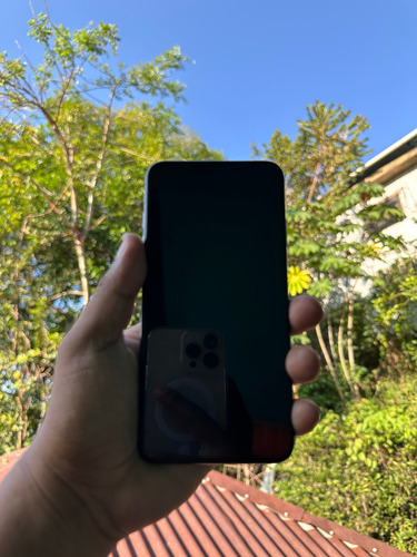 Iphone Xs Max 64 Gb Negro (Usado)