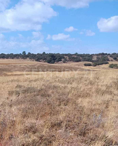 Terreno En Venta En Ejido La Quinta, Durango, Durango, México.