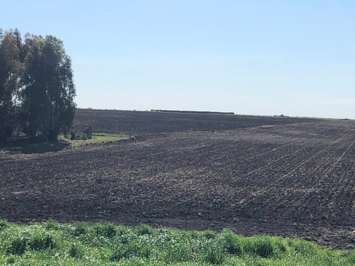 Campo Agrícola-ganadero De 92 Hás En Venta En San José.