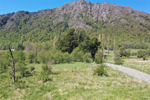 Terreno 7.000 M2 Orilla De Río, Caracoles, Malalcahuello