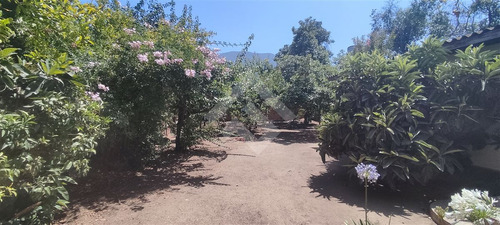 Casa En Venta De 3 Dorm. En Olmué