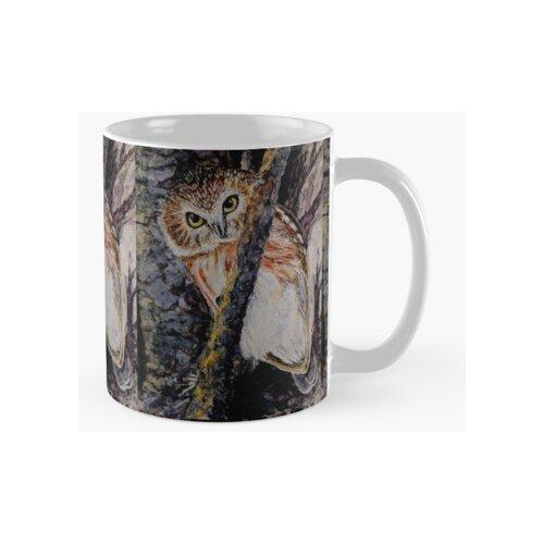 Taza Vistazo Del Búho De Sierra Del Norte Calidad Premium