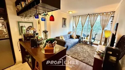 Imagen 4 de 20 de En Venta 2d+2b, Centro Viña Del Mar!