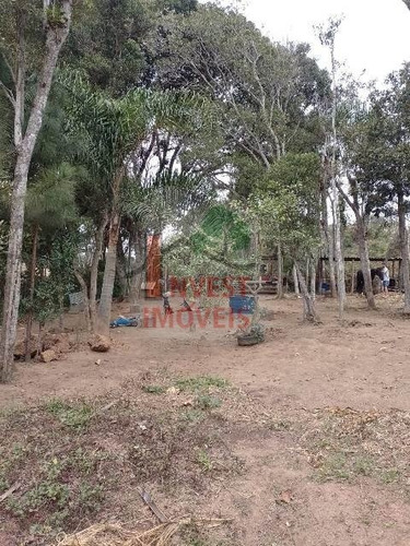 Imagem 6 de 12 de Chacara - Ref: 6123 - V-6123