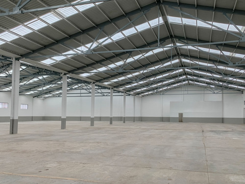 Bodega En Venta Y Renta San Martin Texmelucan