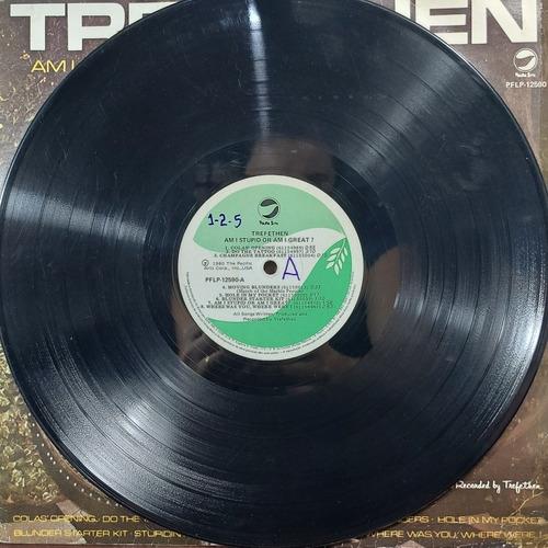 Imagem 3 de 6 de Vinil Lp Trefethen Am I Stupid Or Am I Great?