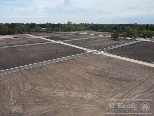 Imagen 10 de 18 de Lote En Venta En El Pato - Barrio Residencial La Vikkina