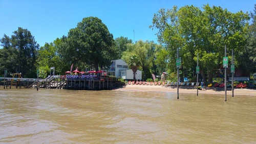 Imagen 5 de 5 de Dragon Boat Experience Tigre Team Building Delta Point Event