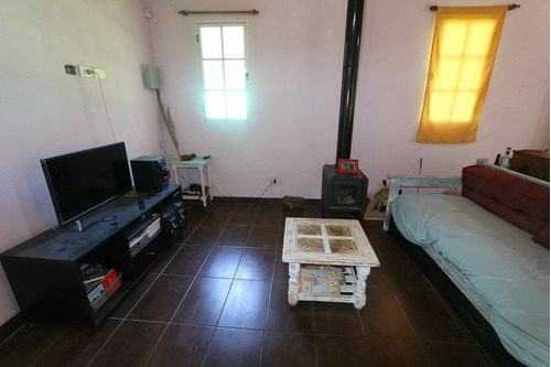Imagen 8 de 30 de Venta Casa Quinta Virrey Del Pino Extenso Lote. Si Algo Nos Dejó La Pandemia Es La Necesidad De Vivir Con Espacio, Naturaleza Y Disfrutando De La Familia. Un Entorno Ideal Para Tu Gente. Inmobiliaria
